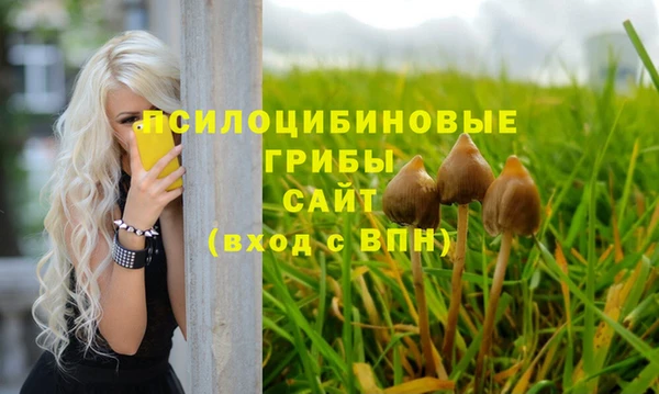 дживик Пестово