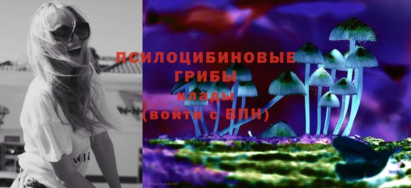 круглые Покачи